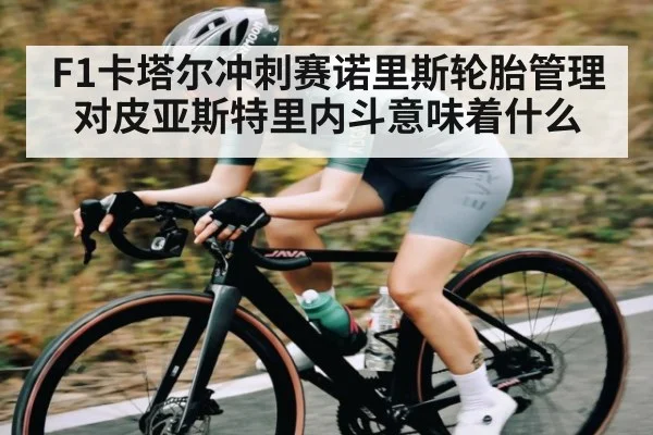 F1卡塔尔冲刺赛诺里斯轮胎管理对皮亚斯特里内斗意味着什么